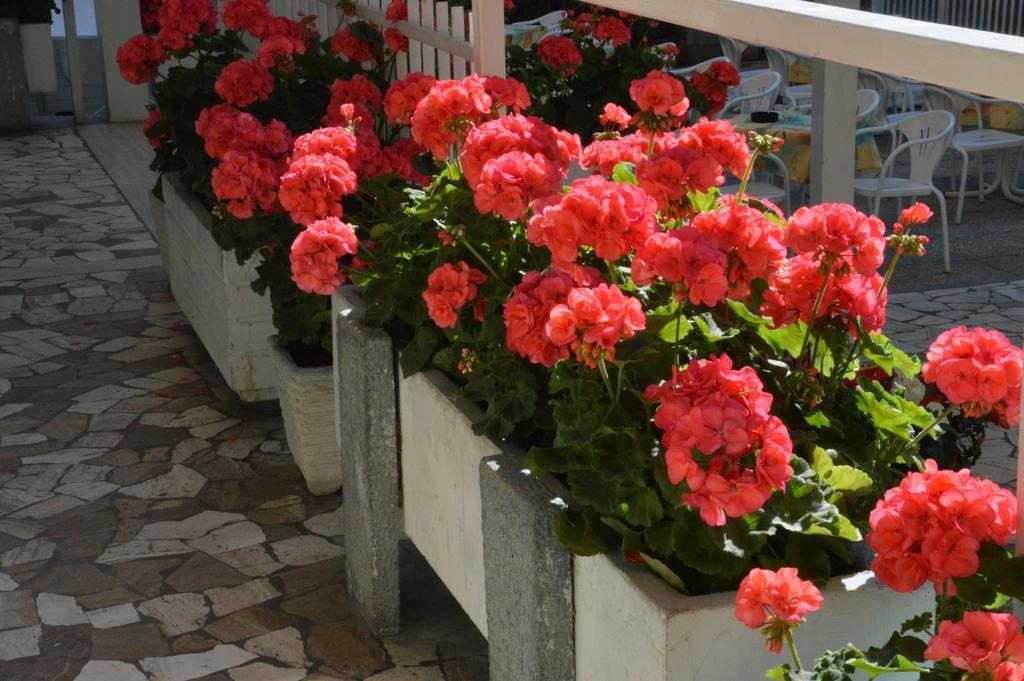 Mantovani Hotel Mariu Rimini Exterior photo